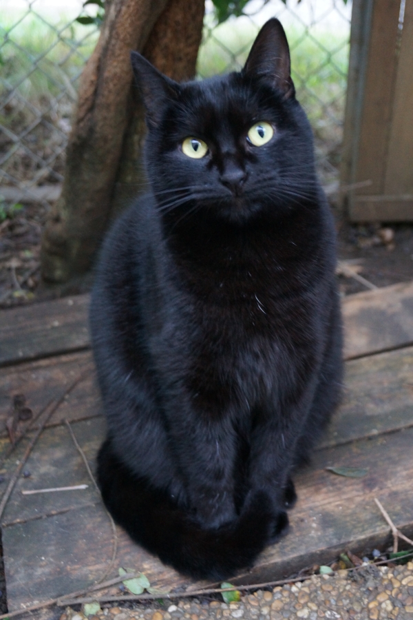 Halbanie DSC01448